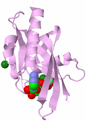 Image Biological Unit 5