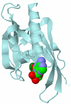 Image Biological Unit 6