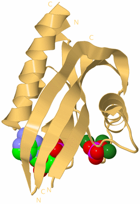 Image Biological Unit 7