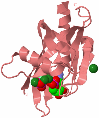 Image Biological Unit 8