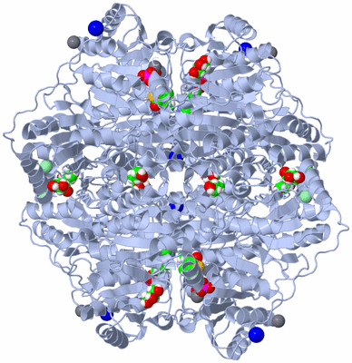 Image Biological Unit 1