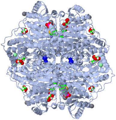 Image Biological Unit 1