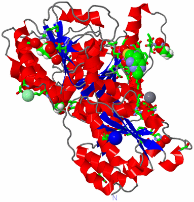 Image Asym. Unit - sites