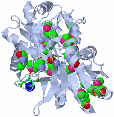 Image Biol. Unit 1 - sites