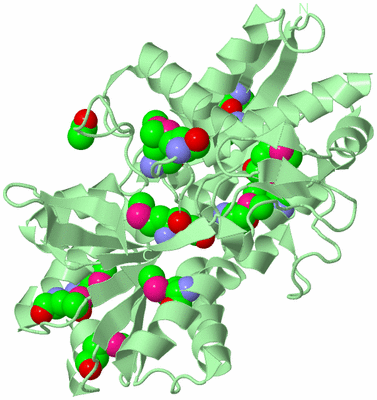 Image Biological Unit 2