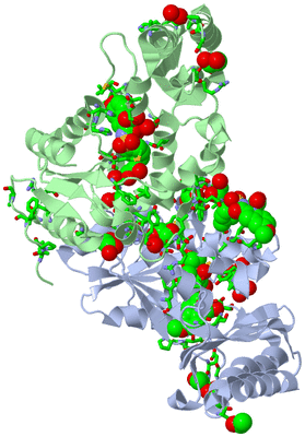 Image Biol. Unit 1 - sites