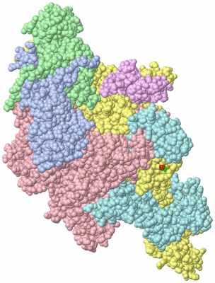 Image Asym./Biol. Unit - sites