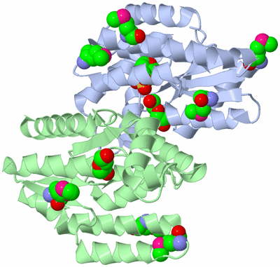 Image Biological Unit 1