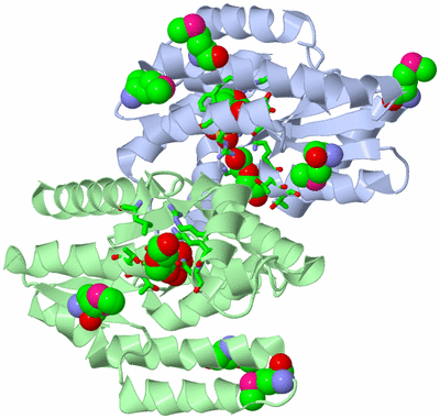 Image Biol. Unit 1 - sites