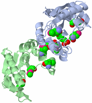 Image Biological Unit 2