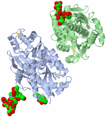 Image Asym./Biol. Unit