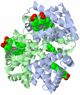 Image Biological Unit 1