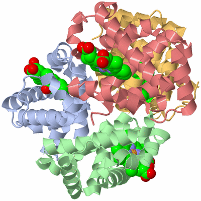 Image Biological Unit 1