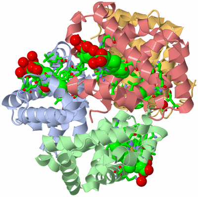 Image Biol. Unit 1 - sites