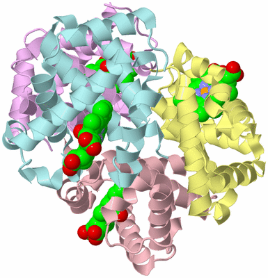 Image Biological Unit 2