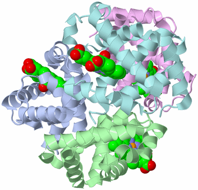 Image Biological Unit 1