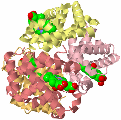 Image Biological Unit 2