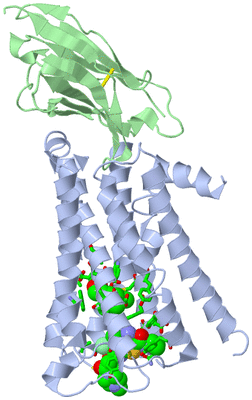 Image Asym./Biol. Unit - sites