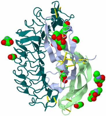 Image Biological Unit 1