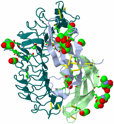 Image Biol. Unit 1 - sites