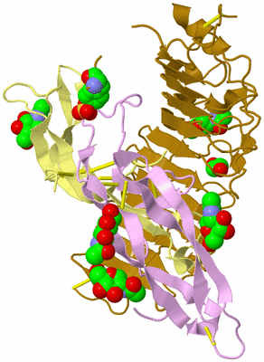 Image Biological Unit 2