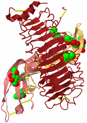 Image Biological Unit 3