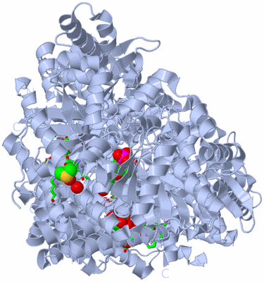 Image Biol. Unit 1 - sites