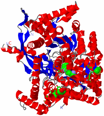 Image Asym. Unit - sites