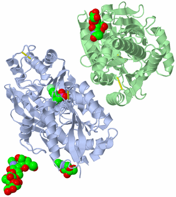 Image Asym./Biol. Unit