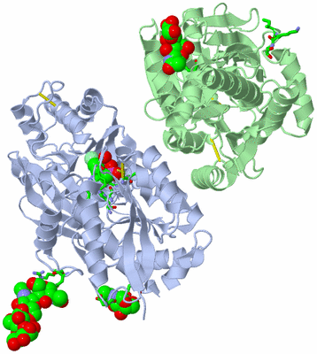 Image Asym./Biol. Unit - sites