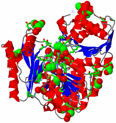 Image Asym./Biol. Unit - sites