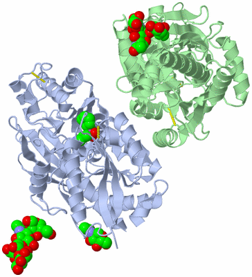 Image Asym./Biol. Unit