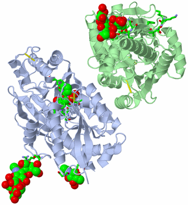 Image Asym./Biol. Unit - sites