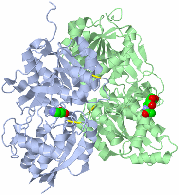 Image Asym./Biol. Unit