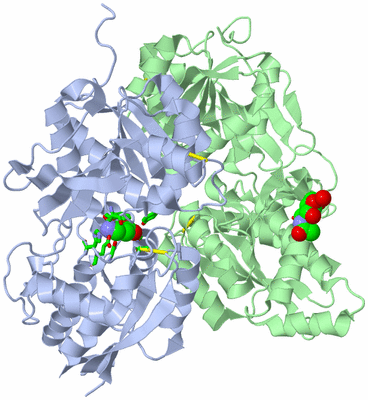 Image Asym./Biol. Unit - sites