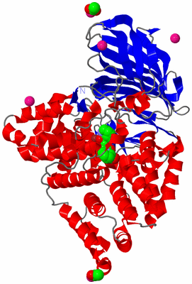 Image Asym./Biol. Unit