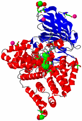 Image Asym./Biol. Unit - sites