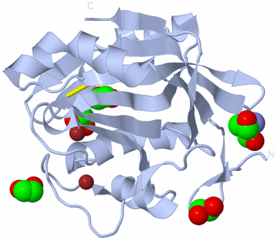 Image Biological Unit 1