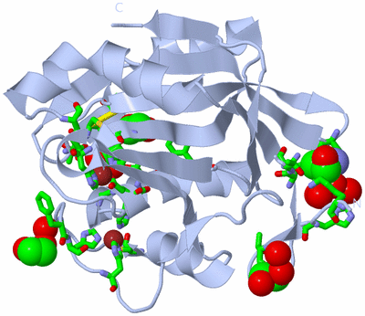 Image Biol. Unit 1 - sites