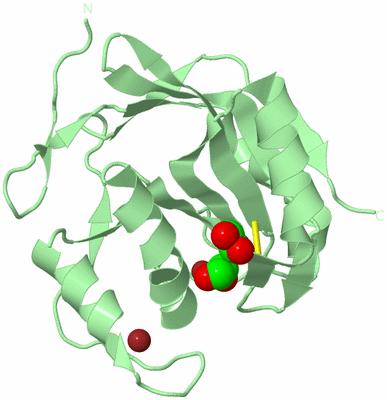 Image Biological Unit 2