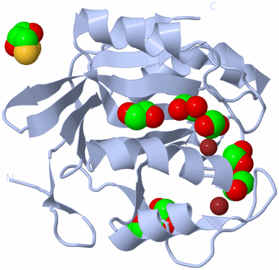 Image Biological Unit 1