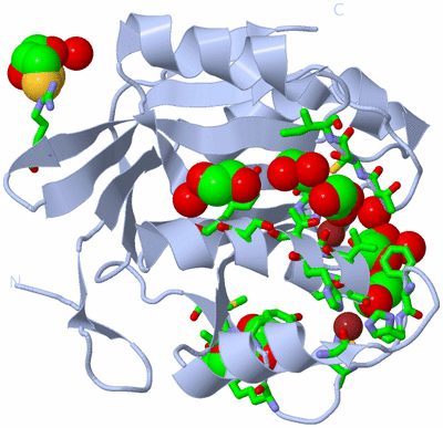 Image Biol. Unit 1 - sites