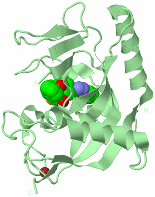 Image Biological Unit 2