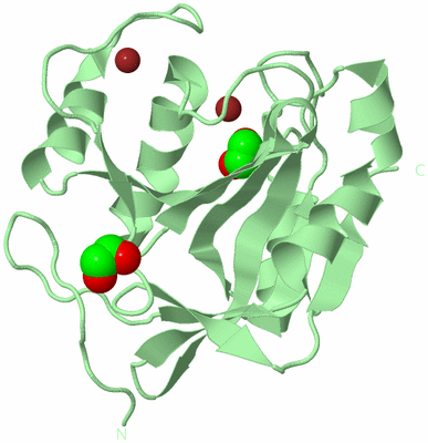 Image Biological Unit 2