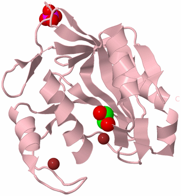 Image Biological Unit 3