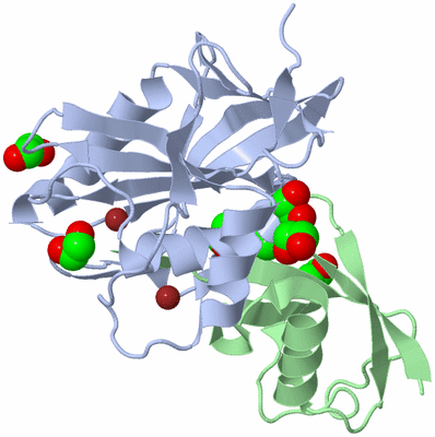 Image Biological Unit 1