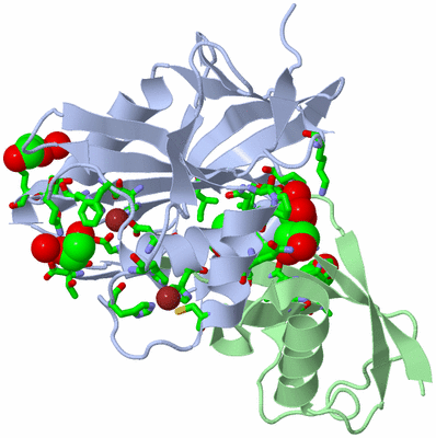 Image Biol. Unit 1 - sites