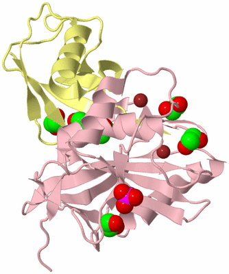 Image Biological Unit 2