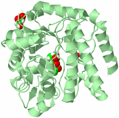 Image Biological Unit 2