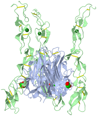 Image Biological Unit 1